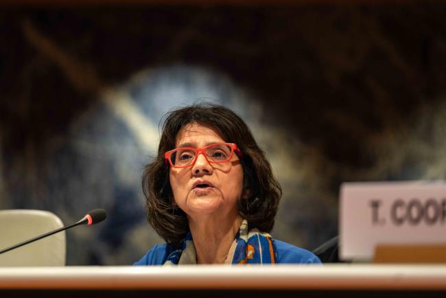 Maria Andrea Echazu, Human Rights Officer, Rights to Development Section, Office of the UN High Commissioner for Human Rights - IGF_AGM_19Nov2024-photo