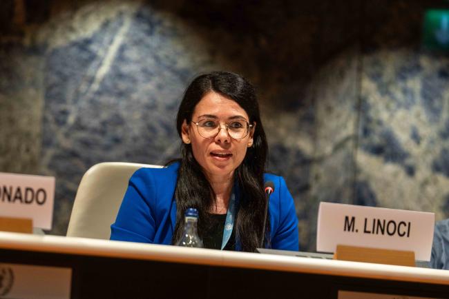 Mariangela Linoci, Economic Affairs Officer, Trade, Gender and Development Programme (UNCTAD) - IGF_AGM_19Nov2024-photo