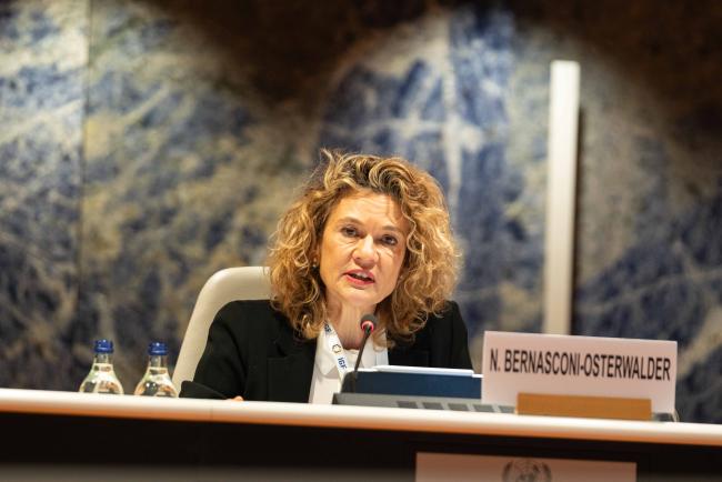Nathalie Bernasconi-Osterwalder, Vice-President, Global Strategies and Managing Director, IISD - IGF-AGM_18Nov2024-MikaSchroder