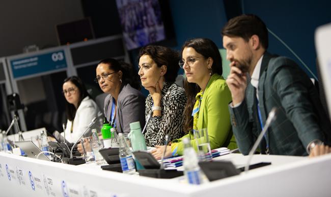 Panel - SCF for COP 29 - 13 Nov2024