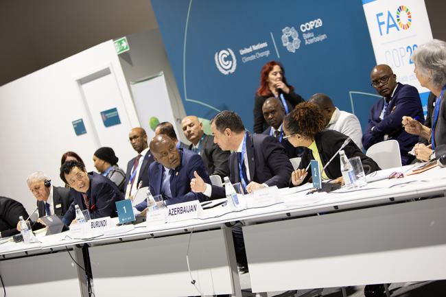 Panel - Climate Finance for Resilient Agrifood Systems - 12 Nov2024