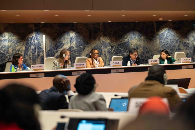 Panel 1 - Putting People First - IGF_AGM_19Nov2024-photo