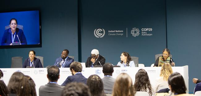 Unpacking the losses and damages in informal settlements - Panel