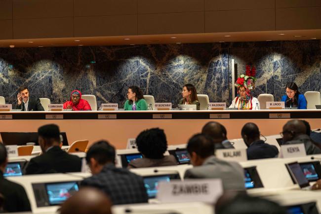Panel 36 - Criticl Minerals and Gender Equality - IGF_AGM_19Nov2024-photo