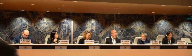 Panel for Session 2 - Accelerating the Production of Critical Minerals - IGF-AGM_18Nov2024-MikaSchroder
