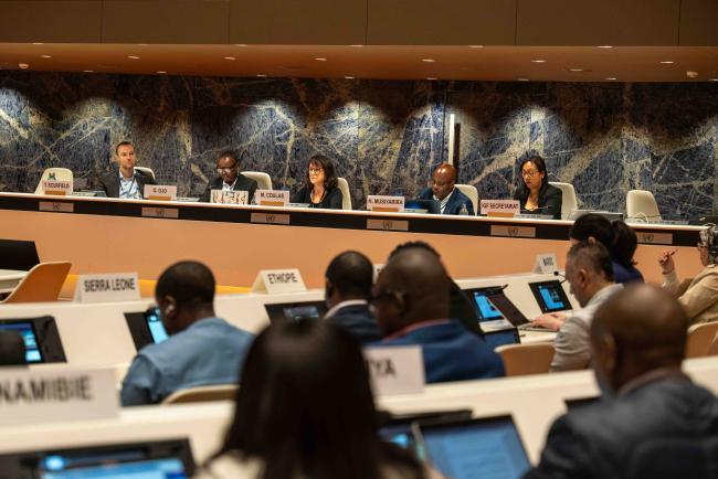 Panel for Session 9 - Regional Dialogue on Mineral Supply Chains - IGF_AGM_20Nov2024-photo