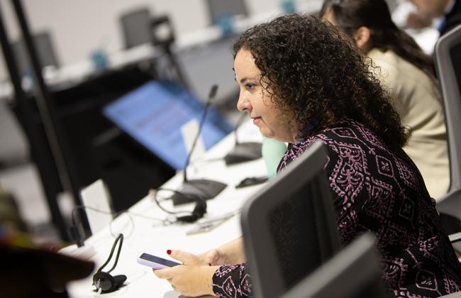 Participant 1 - Climate Finance Work for Farmers - 19Nov 2024