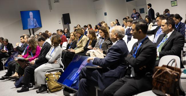 Participants Judicial Perspectives - 16Nov2024