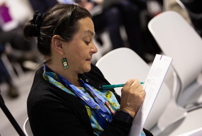 Paticipant 1- SCF for COP 29 - 13 Nov2024