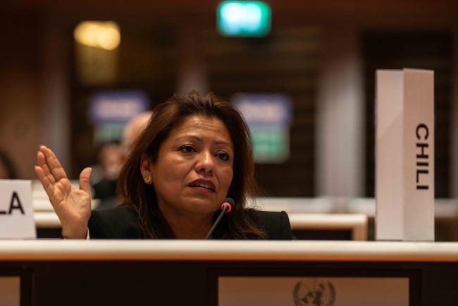 Pilar Meza, Chile - IGF_AGM_19Nov2024-photo