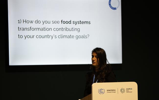 Questions- Boosting NDCs for a Greener Future - 20Nov2024
