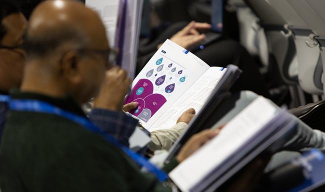 Report - SCF for COP 29 - 13 Nov2024