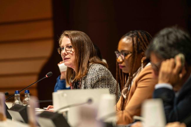 Tracey Cooper, Member of Advisory Boards (Mining and Socio-Economic Development) - IGF_AGM_19Nov2024-photo