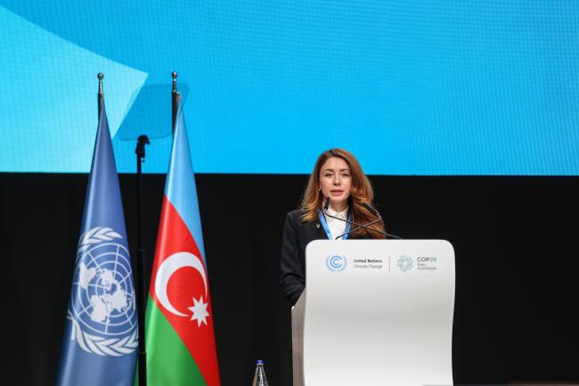 Svitlana Hrynchuck, Minister of Environmental Protection and National Resources, Ukraine