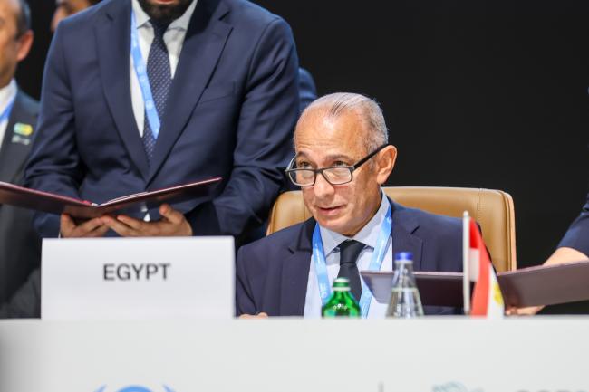 Wael Aboulmagd, COP 27 Presidency