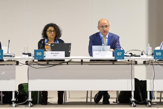 Mirey Atallah, UN Environment Programme, and Julio Cordano, Chile