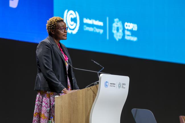 Jeminah Njuki, Chief of the Economic Empowerment Section, UN Women