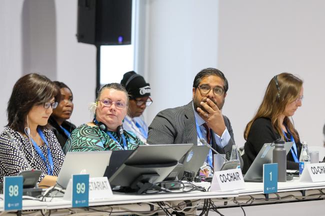 Contact group on the Warsaw International Mechanism for Loss and Damage Co-Chairs Pasha Carruthers, Cook Islands, and Farhan Akhtar, US