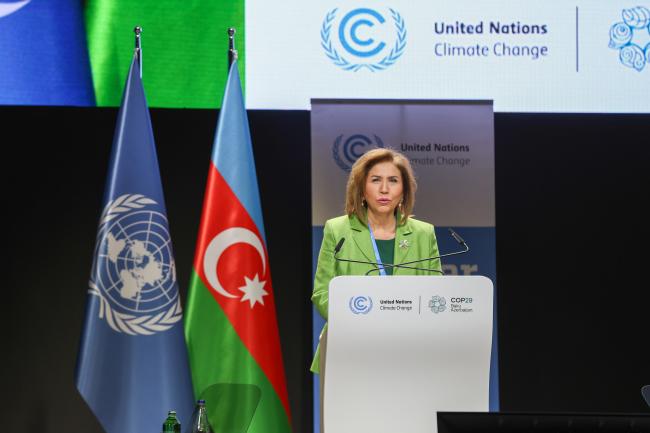 Bahar Muradova, Chairperson, State Committee for Family, Women and Children Affairs, Azerbaijan
