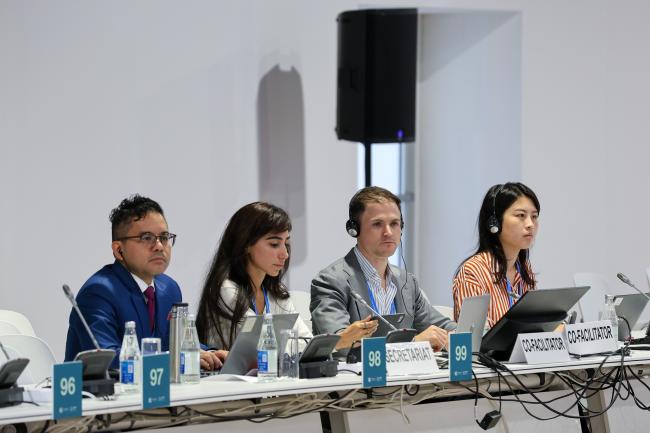 View of the dais during a contact group on a periodic review of the long-term global goal