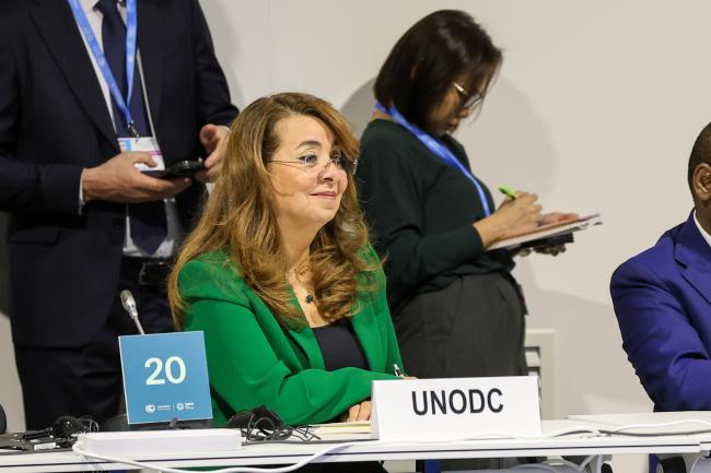UN Office on Drugs and Crime Executive Director Ghada Waly