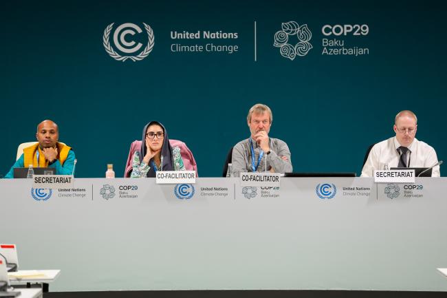 From L-R: Perumal Arumugam, UNFCCC Secretariat; Kate Hancock, Australia; Sonam Tashi, Bhutan; and Phillip Eyre, UNFCCC Secretariat
