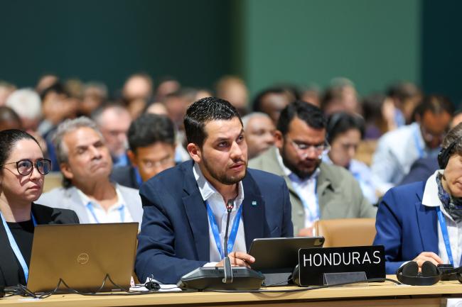 Malcolm Bryan Stufkens Salgado, Honduras