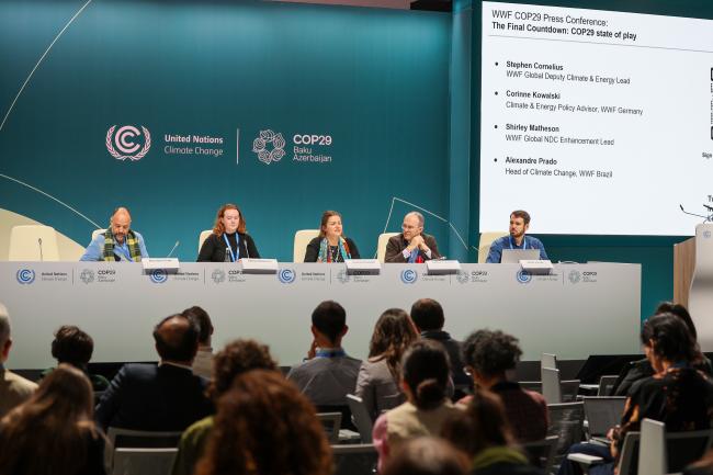 From L-R: Alexander Prado, Head of Climate Change, WWF Brazil; Shirley Matheson, WWF Global NDC Enhancement Lead; Corinne Kowalski, Climate and Energy Policy Advisor, WWF Germany; Stephen Cornelius, WWF Global Deputy Climate and Energy Lead; and Robin Harvey, Media Relations Manager, WWF International