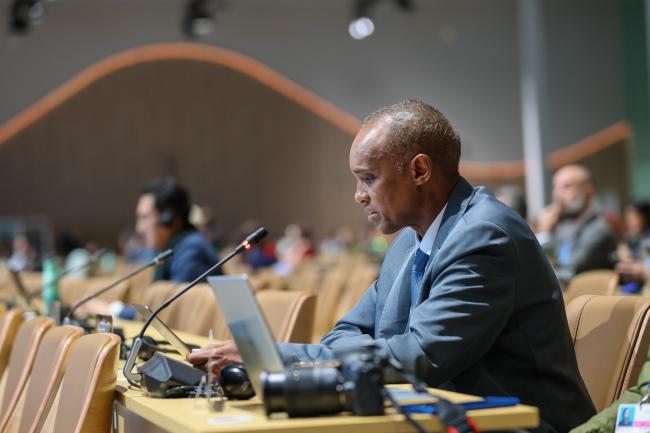 Ali Mohamed, Kenya