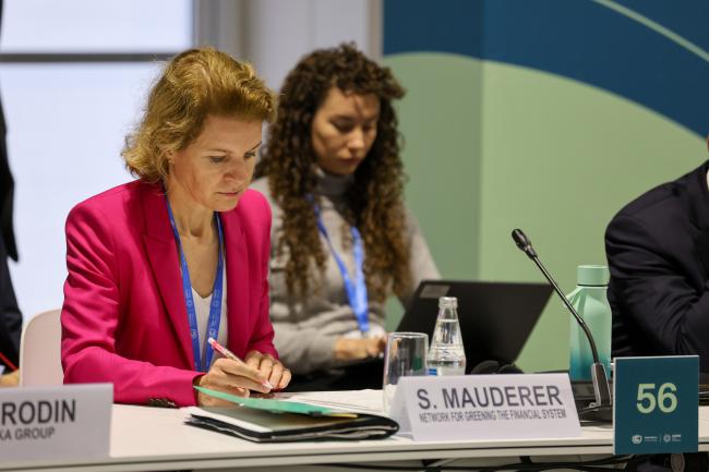 Sabine Mauderer, Network for Greening the Financial System