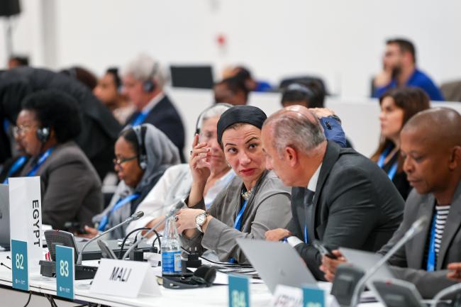 Yasmine Fouad, Minister of Environment, Egypt
