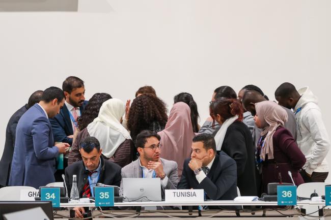 Review of the progress, effectiveness and performance of the Adaptation Committee