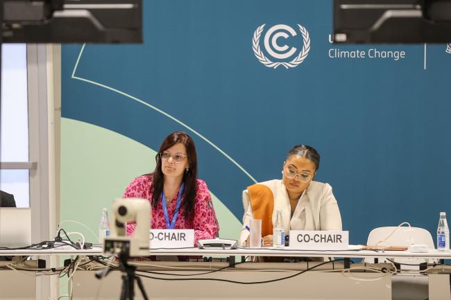 Co-Chairs Lenneke Ijzendoorn, Netherlands, and Zita Wilks, Gabon
