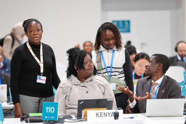 CGs