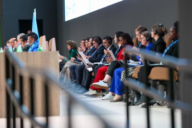 Plenary