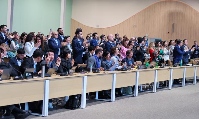 Delegates celebrating the adoption of the New Collective Quantified Goal on Climate Finance