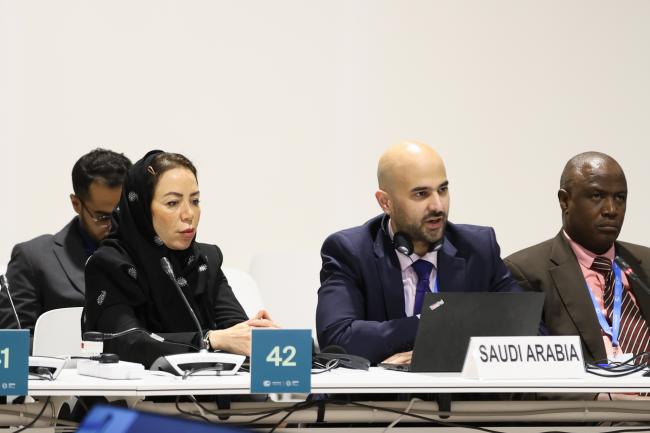 Delegates from Saudi Arabia
