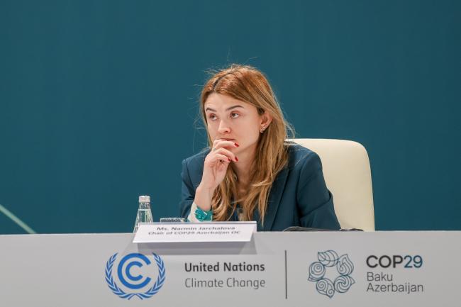 Narmin Jarchalova, Chair of COP29 Azerbaijan Operating Company