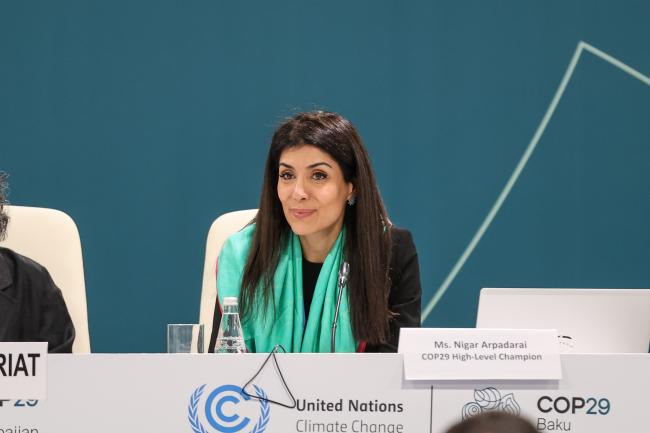 Nigar Arpadarai, COP 29 UN Climate Change High-level Champion