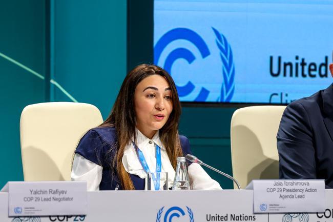 Jala Ibrahimova, COP 29 Presidency Action Agenda Lead