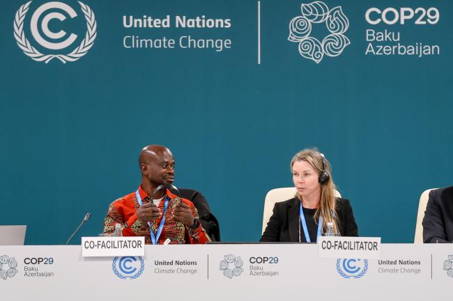 National adaptation plans Co-Facilitators Antwi-Boasiako Amoah, Ghana, and Meredith Ryder-Rude, US