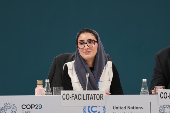 Co-Facilitator Maria AlJishi, Saudi Arabi