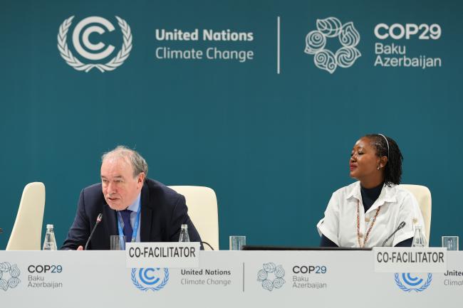 Co-Facilitators for informal consultations on research and systematic observation Frank McGovern, Ireland, and Patricia Nying'uro, Kenya