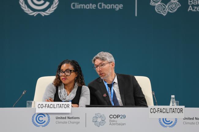 Gender and Climate Co-Facilitators Ruleta Thomas, Antigua and Barbuda, and Marc-André Lafrance, Canada