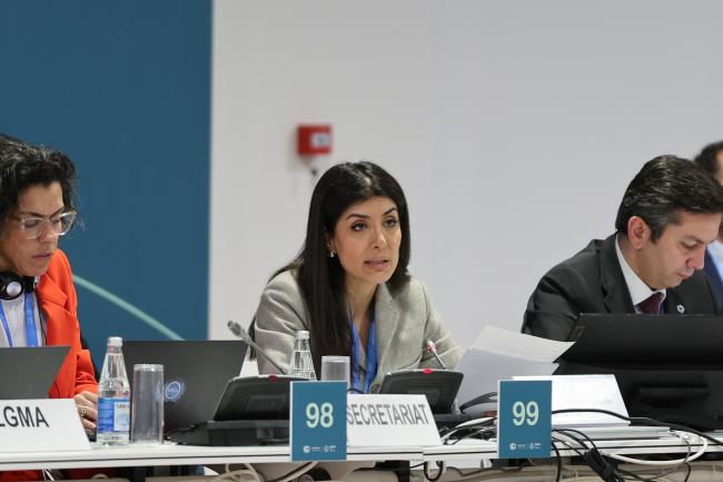 Nigar Arpadarai, COP 29 UN Climate Change High-level Champion