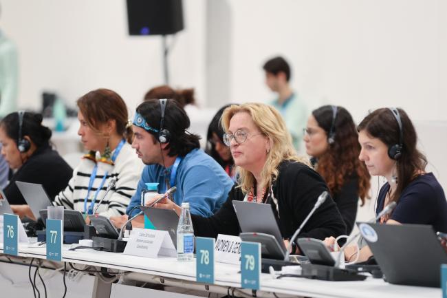 Liane Schalatek, Women and Gender Constituency