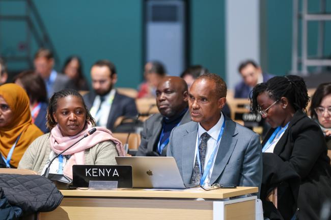 Ali Mohamed, Kenya