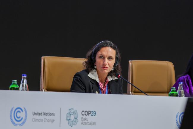 Alice Amorim, Head of the Extraordinary Office for COP30 of the National Secretariat for Climate Change, Brazil