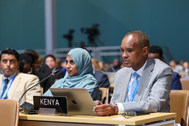 Ali Mohamed, Kenya