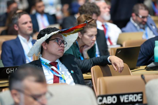 Plenary